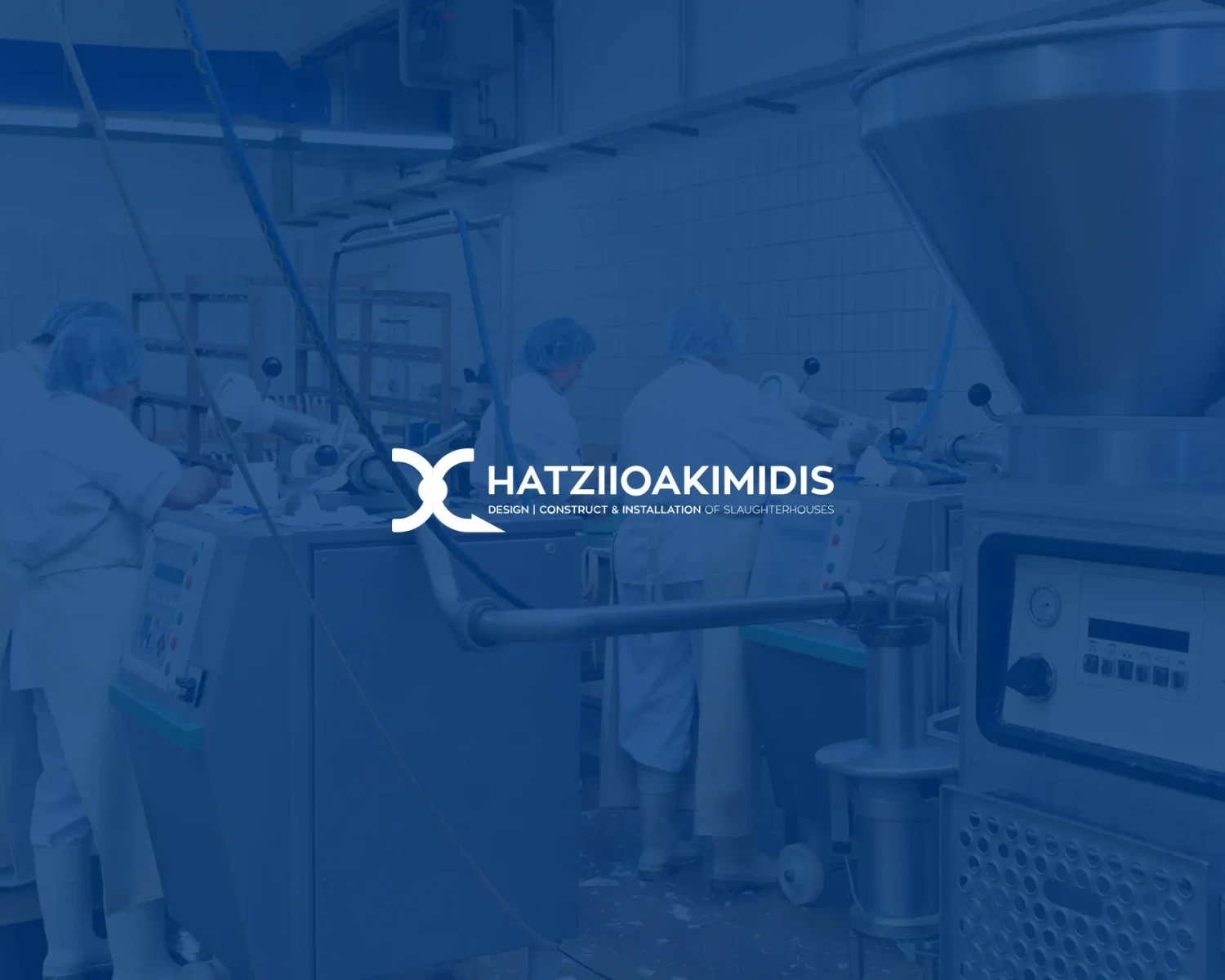 Friends Consulting - Digital Marketing Case Study για Hatziioakimidis S.A.