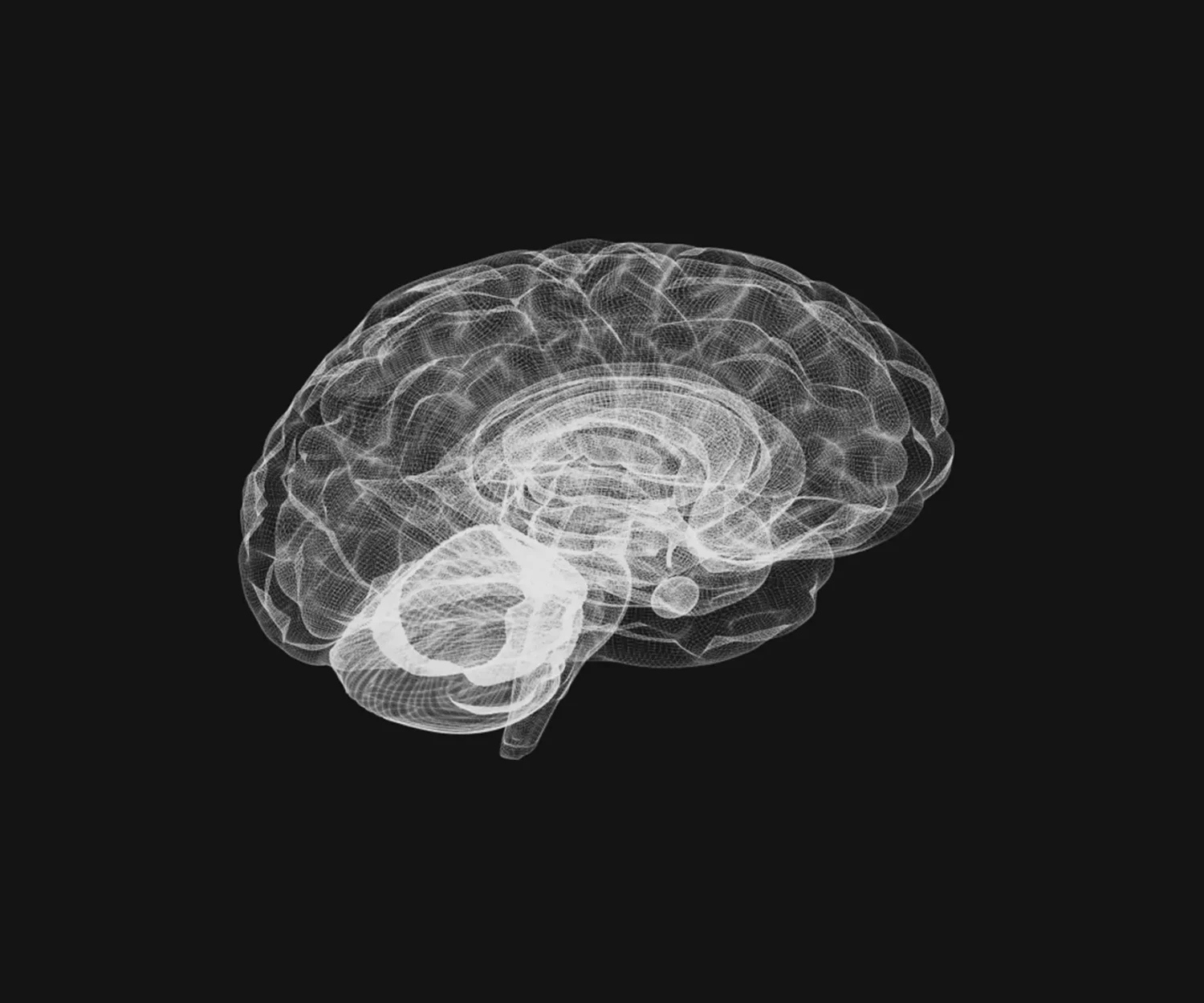 Neuromarketing: Ο Ρόλος Του Εγκεφάλου Στις Διαφημιστικές Επιλογές