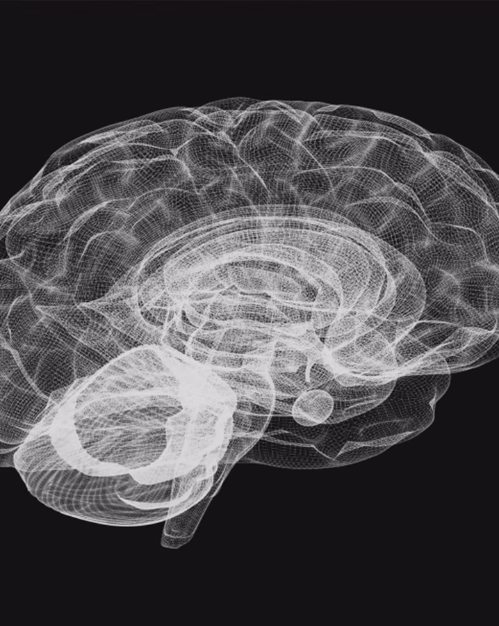 Neuromarketing: Ο ρόλος του εγκεφάλου στις διαφημιστικές επιλογές
